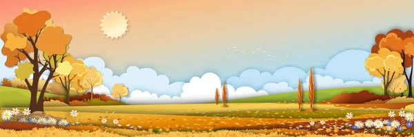 Autumn rural landscape in evening light with sunset, yellow, orange sky background,Vector pano Cartoon fall season at countryside with forest tree and grass field with sunrise,Backdrop natural banner