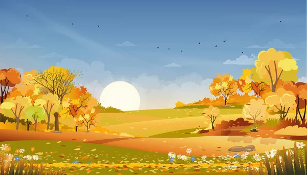 Autumn rural landscape farm fields and forest trees with orange sky sunset,Vector cartoon banner backdrop farm field harvest,Scenery of natural countryside with sunrise for fall season background