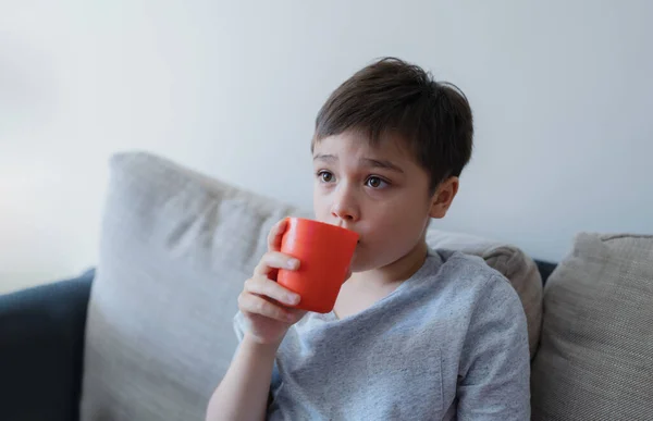 Portrait Kid Drinking Fresh Orange Juice Breakfast Happy Child Boy — Stockfoto