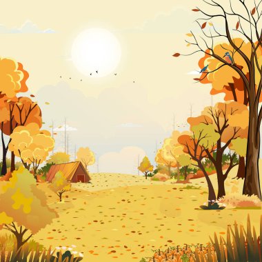 Autumn rural landscape in evening light with sunset with yellow sky background,Vector Cartoon fall season countryside with forest tree pumpkin on grass field with sunrise,Autumn harvest festival
