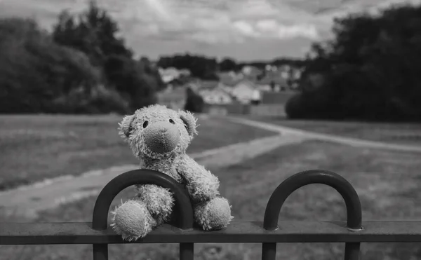 Black and white Lost teddy bear sitting on bench at playground in gloomy day,Lonely and sad face bear doll lied down alone in the park, lost toy,Loneliness concept, International missing Children day