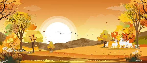 秋の田舎の幻想的なパノラマ風景 黄色の葉の木から落ちる農場のフィールド 野生の草や葉と中秋のパノラマ 秋の不思議の国 — ストックベクタ