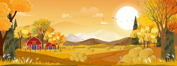 Vector Autumn Panorama Landscape Farm Field Orange Sky Beautiful Sunset — стоковый вектор