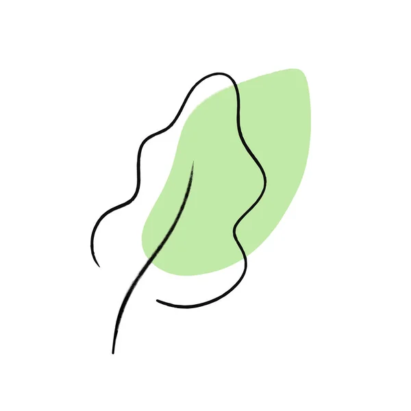 孤独な緑の葉のベクトルの概要 — ストックベクタ