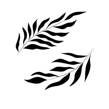 Çizgi Bitkileri, Yaprak Çizimi