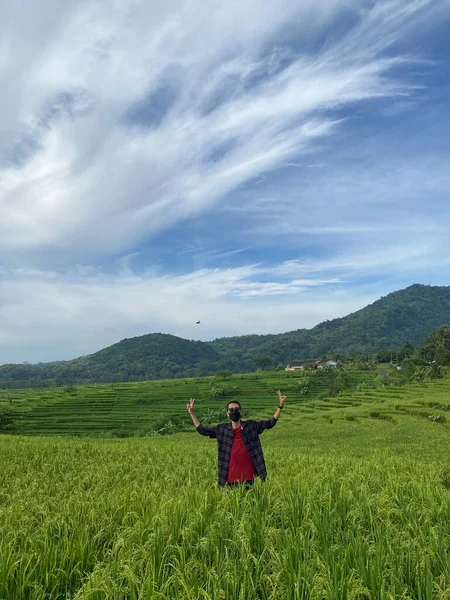 有料のシャツを着た若い男が インドネシアのジョグジャカルタ郊外の田んぼの美しい景色を楽しんでいます — ストック写真