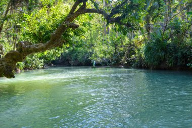 Pacitan Endonezya 'daki Maron nehri, nehirde fotoğraf çekmek için salıncak olan bir seyahat noktasıdır..