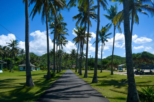 Belle Vue Sur Plage Srau Pacitan Indonésie Avec Icône Plage — Photo