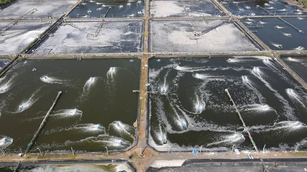 Aerial View Shrimp Ponds Adjacent South Coast Yogyakarta Become Largest — Stockfoto