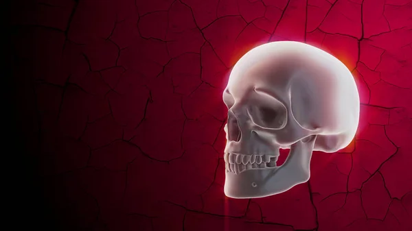 Ragyogó emberi koponya vörös háttérrel, repedésekkel. Halloween dekoráció — Stock Fotó