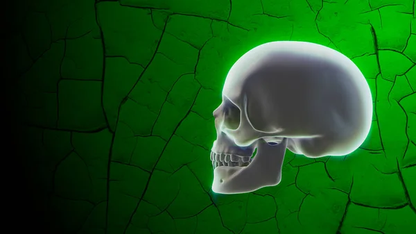 Świecąca ludzka czaszka na zielonym tle z pęknięciami. Dekoracja Halloween — Zdjęcie stockowe