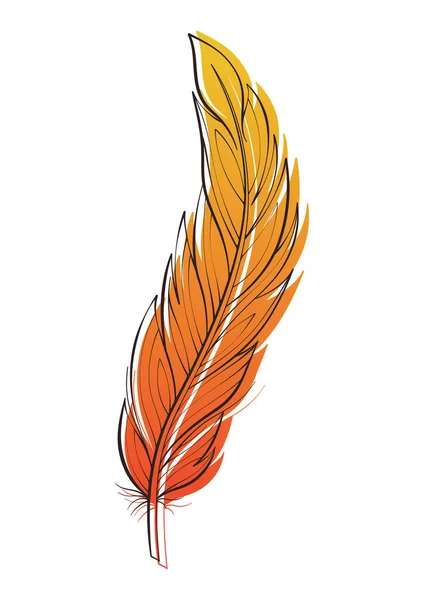 Illustrazione vettoriale di piume d'uccello isolata su bianco. Elemento di design per la stampa — Vettoriale Stock