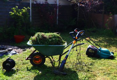 Mevsimlik bahçe işleri. Çimenli yeşil el arabası, arka bahçede elektrikli çim biçme makinesi.. 