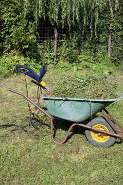 Mevsimlik bahçe işleri. Çimenli yeşil el arabası, arka bahçede elektrikli çim biçme makinesi.. 
