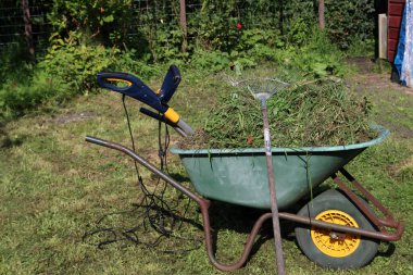 Çimenli el arabası, çimenli tırmık. Sonbahar mevsimsel çalışmaları. Bahçe bakımı. 
