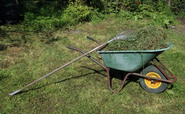 Çimenli el arabası, çimenli tırmık. Sonbahar mevsimsel çalışmaları. Bahçe bakımı. 