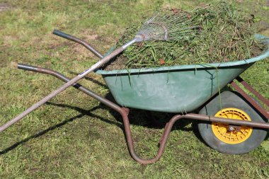 Çimenli el arabası, çimenli tırmık. Sonbahar mevsimsel çalışmaları. Bahçe bakımı. 