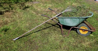 Çimenli el arabası, çimenli tırmık. Sonbahar mevsimsel çalışmaları. Bahçe bakımı. 