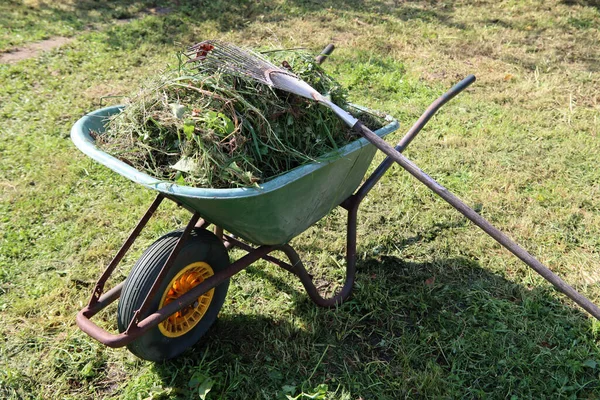 Carriola Mano Con Erba Rastrello Sul Prato Autunno Lavori Stagionali — Foto Stock