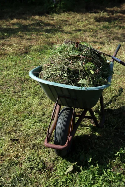 Carriola Mano Con Erba Rastrello Sul Prato Autunno Lavori Stagionali — Foto Stock