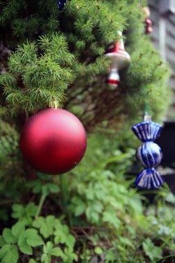 Köknar ağacında kırmızı Noel balosu. Süslü dekorasyonların fotoğrafını kapat. Avrupa 'da tatil zamanı. 