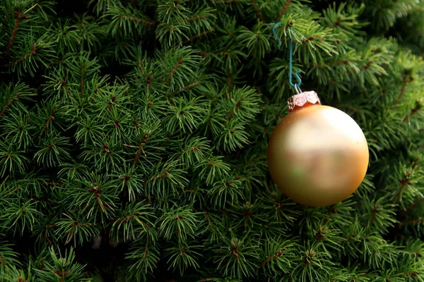 Goldene Weihnachtskugel Auf Tanne Grüner Hintergrund Mit Kopierraum Frohe Weihnachten — Stockfoto