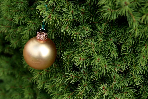 Goldene Weihnachtskugel Auf Tanne Grüner Hintergrund Mit Kopierraum Frohe Weihnachten — Stockfoto
