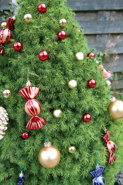 Weihnachtsschmuck Verschiedenen Arten Und Farben Einem Tannenbaum Blaue Und Rote — Stockfoto