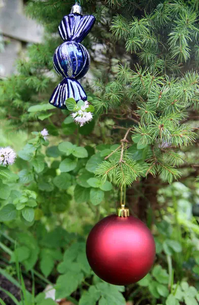 Rote Weihnachtskugel Auf Tanne Nahaufnahme Foto Von Phantasievollen Dekorationen Urlaubszeit — Stockfoto