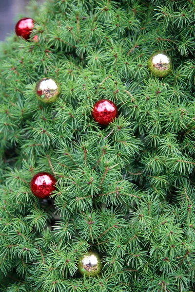 用红色和金色的圣诞球装饰冷杉树的特写照片 美丽的圣诞树照片 在欧洲度假 — 图库照片
