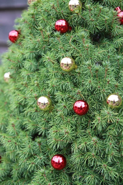 Cerrar Foto Abeto Decorado Con Bolas Navidad Rojas Doradas Hermosa — Foto de Stock