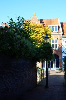 Otantik Hollanda mimarisi. Sokaktaki güzel evler. Avrupa şehir fotoğrafı. 