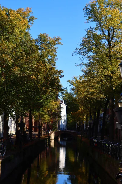 Bir Şehirde Sonbahar Sezonu Sonbahar Ağaçları Kanaldaki Binalar Renkli Yansımaları — Stok fotoğraf