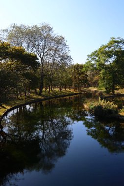 Parktaki güzel göl. Sakin mavi su, büyük yeşil ağaçlar, mavi gökyüzü. Sonbahar parkında güneşli bir gün. Hollanda 'nın Doğası. 