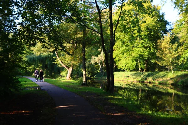 Ścieżka Piesza Pięknym Jesiennym Parku Spaceruję Lesie Słoneczny Dzień Lesie — Zdjęcie stockowe
