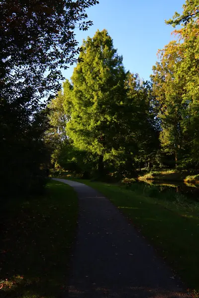 Fußweg Einem Schönen Herbstlichen Park Spaziergänge Wald Sonniger Tag Wald — Stockfoto