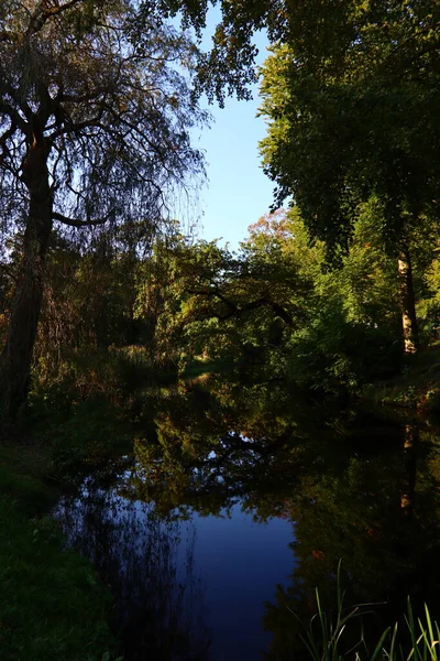 Bomen Reflecties Het Wateroppervlak Herfstseizoen Een Park Herfst Europa Abstracte — Stockfoto