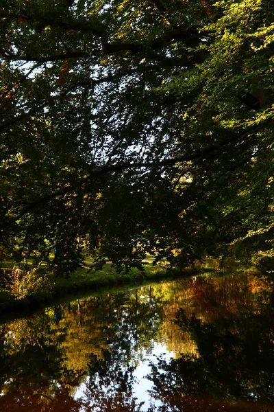 Bomen Reflecties Het Wateroppervlak Herfstseizoen Een Park Herfst Europa Abstracte — Stockfoto