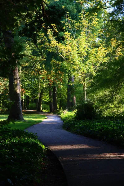 Gyönyörű Nap Őszi Parkban Zöld Fák Között Napsütéses Nap Dutch — Stock Fotó