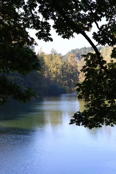 Piękne Jezioro Parku Spokojna Niebieska Woda Duże Zielone Drzewa Błękitne — Zdjęcie stockowe
