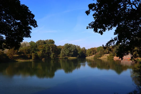 Schöner See Einem Park Ruhiges Blaues Wasser Große Grüne Bäume — Stockfoto