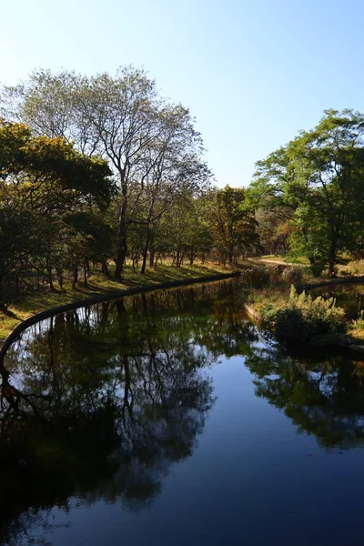 Parktaki güzel göl. Sakin mavi su, büyük yeşil ağaçlar, mavi gökyüzü. Sonbahar parkında güneşli bir gün. Hollanda 'nın Doğası. 