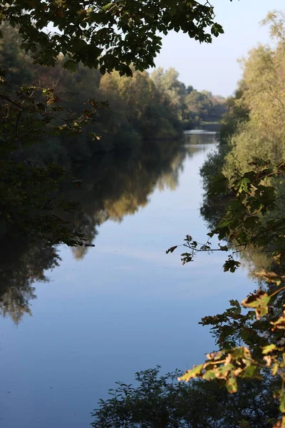 Prachtig Meer Een Park Kalm Blauw Water Grote Groene Bomen — Stockfoto