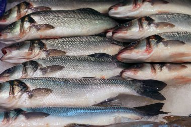 Yerel balık pazarında taze balık. Güzel çiğ balık yakın plan fotoğrafı. Sağlıklı yeme kavramı. 