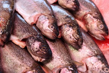 Yerel balık pazarında taze balık. Güzel çiğ balık yakın plan fotoğrafı. Sağlıklı yeme kavramı. 