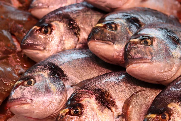 地元の魚市場で新鮮な魚 美しい生の魚の写真を閉じます 健康的な食事のコンセプト — ストック写真