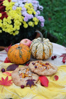 Bahçede piknik. Güzel kabak sebzeleri, balkabağı galetaları, kırmızı yapraklar, çiçek açan kasımpatı çalıları, arka planda yeşil çimenler. Sonbahar hasat fotoğrafı. Güz mevsimi yemekleri. 