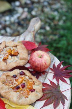 Masada mini kabaklı turtalar. Sonbahar pastası ve mevsimlik sebzeli en iyi manzara fotoğrafı. Yemek, natürmort. 