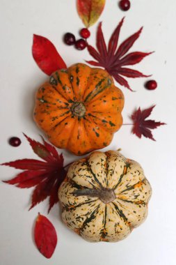 Ahşap arka planda fotokopi alanı olan balkabakları. Organik mevsimlik sebzeler fotoğraf çeker. Masadaki dekoratif kabak çok güzel.. 