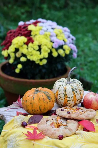 秋天的静物画 背景为南瓜 秋天收获照片 有机蔬菜靠拢 — 图库照片